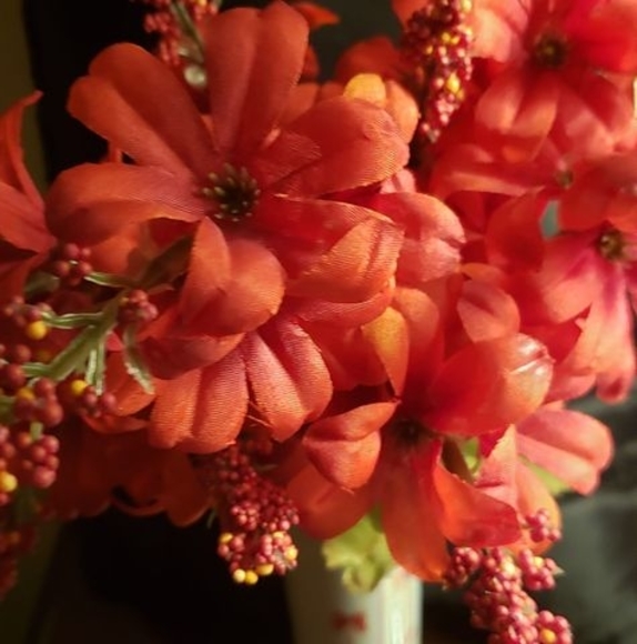 Meet your Posher, Ernestine - Picture 1 of 1